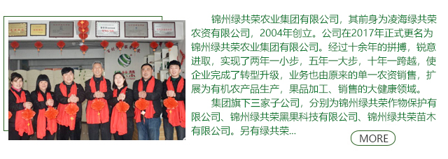 錦州綠共榮農業集團有限公司