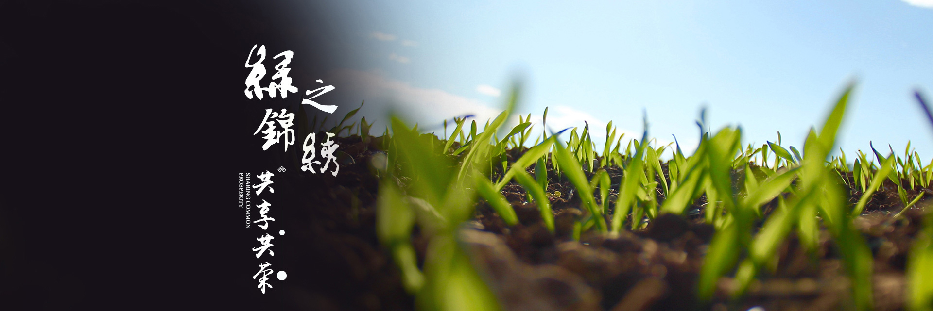 錦州綠共榮農業集團有限公司